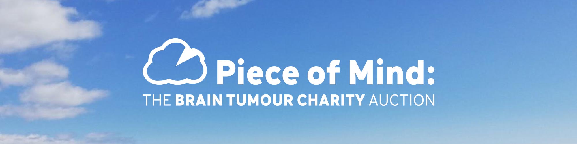 Piece of Mind : The Brain Tumour Charity Auction
